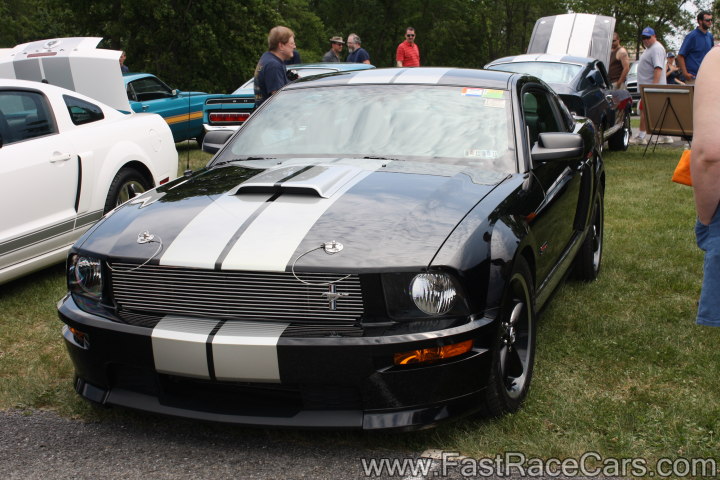 Mustang Mustang